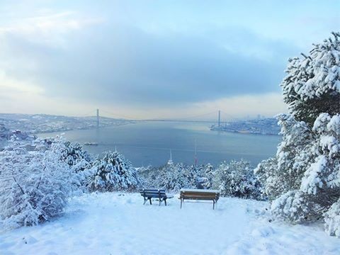 Çaresizlik, vazgeçmişlik, kabulleniş.. Sanki bu hislerle var olmuşum gibi. Kendimi bildim bileli çabuk pes ettim, hatta pes etmekten başka hiçbir şey bilmedim. Çocuk oyuncağı gibi yok saymak beni. Başkalarına vermek için o kadar fazla aklım varken

bit.ly/37cxNCe