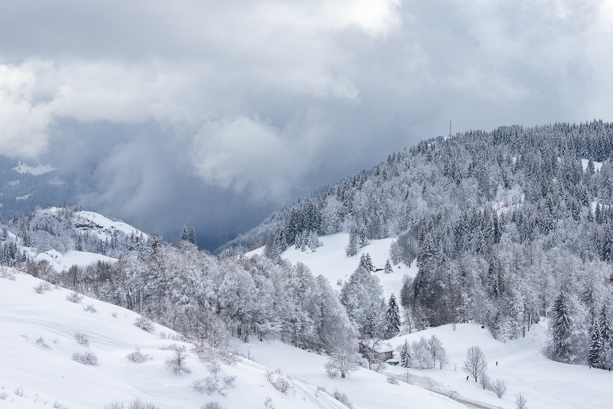 MaxColinPhoto's tweet photo. Paysages d'hiver

#winter #landscape #landscapephotography #landscapelovers #snow #photography #photooftheday #mountains #mountain #hiking #nature #NaturePhotography #Photographie #naturelovers #nature #NatureBeauty #paysage #landscapelovers #france #HauteSavoie https://t.co/tCC9WHGn2y