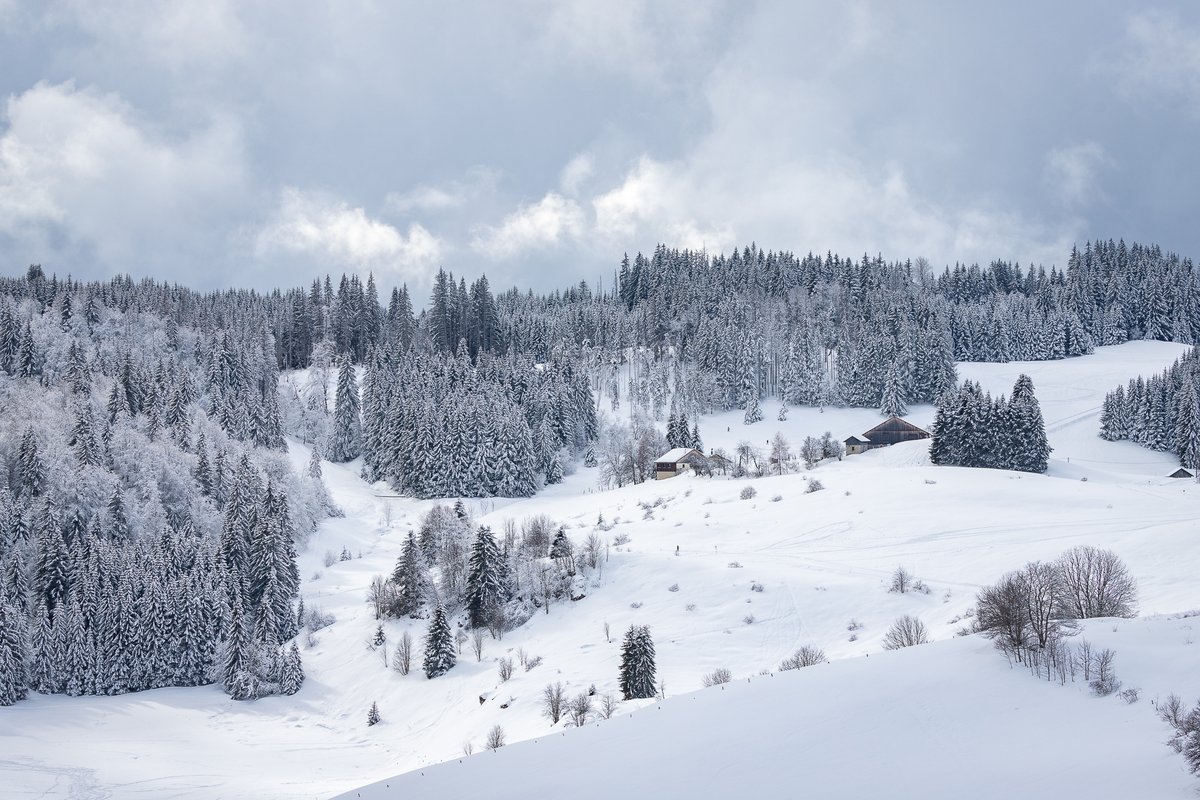 MaxColinPhoto's tweet photo. Paysages d'hiver

#winter #landscape #landscapephotography #landscapelovers #snow #photography #photooftheday #mountains #mountain #hiking #nature #NaturePhotography #Photographie #naturelovers #nature #NatureBeauty #paysage #landscapelovers #france #HauteSavoie https://t.co/tCC9WHGn2y