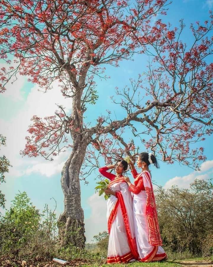 dc_sanjay_jas's tweet photo. प्रकृति पर्व 'सरहुल' की हार्दिक शुभकामनाएं..!
🍁🌾
#सरहुल #sarhul https://t.co/HCU4zOfJ5k