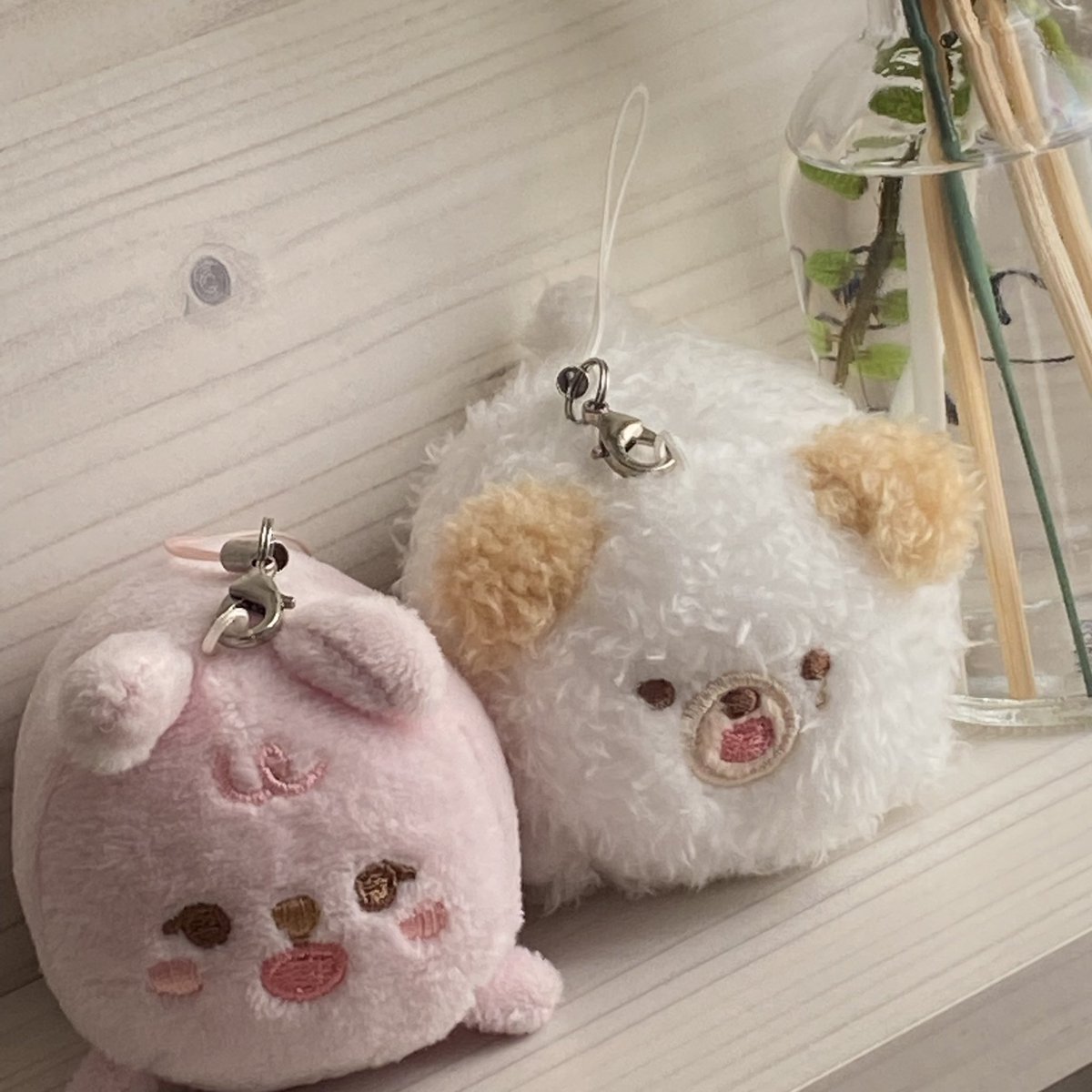 아니 진짜 귀엽네 요놈 자식들ㄹ ,,