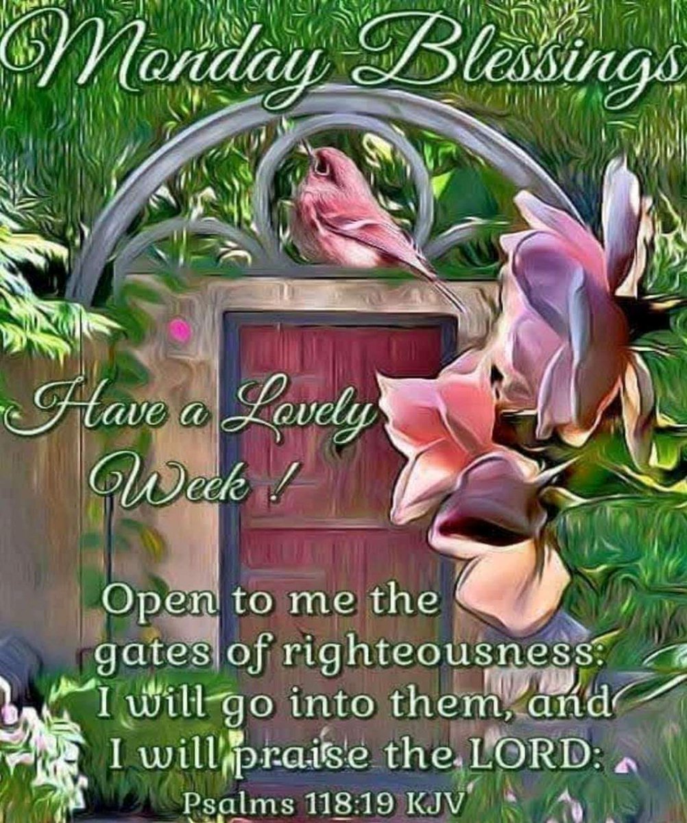 VolschenkGerna's tweet photo. #Goodmorning to all my #Friends across the worldπHave a #Beautifulday #Takecare #Staysafe #StayHealthy God bless youπLove you allβ€ #HappyMonday ππππ»ππππΉππ«πππΈππ·πππβ€π¦ππ #Lovelyweek https://t.co/jQ2Drr2qtX