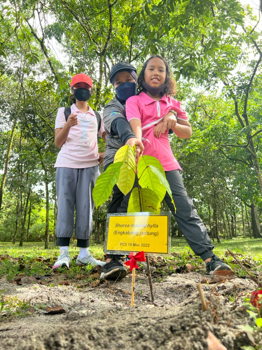 FRIMKepong's tweet photo. #PerkhidmatanPensijilanProdukFRIM (#FRIMPCS) &amp; Program Pemerkasaan Pensijilan Produk @FRIMKepong adakan aktiviti penanaman pokok di #StesenPenyelidikanFRIM di #Bidor ((#SPFBidor), #Perak bg menyokong Kempen Penanaman @100jutapokok &amp; sambut  #HariHutanAntarabangsa pd 18 Mac lalu https://t.co/JxoZxwV8jm