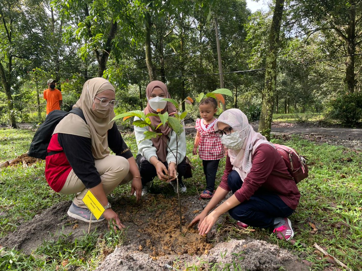 FRIMKepong's tweet photo. #PerkhidmatanPensijilanProdukFRIM (#FRIMPCS) &amp; Program Pemerkasaan Pensijilan Produk @FRIMKepong adakan aktiviti penanaman pokok di #StesenPenyelidikanFRIM di #Bidor ((#SPFBidor), #Perak bg menyokong Kempen Penanaman @100jutapokok &amp; sambut  #HariHutanAntarabangsa pd 18 Mac lalu https://t.co/JxoZxwV8jm
