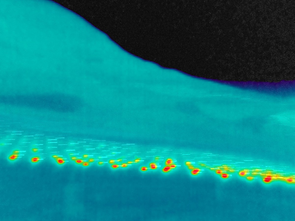 Jusqu’à -3,8 degrés en cette troisième nuit de gelées, des dégâts à quantifier.
De tout cœur avec tous les arboriculteurs