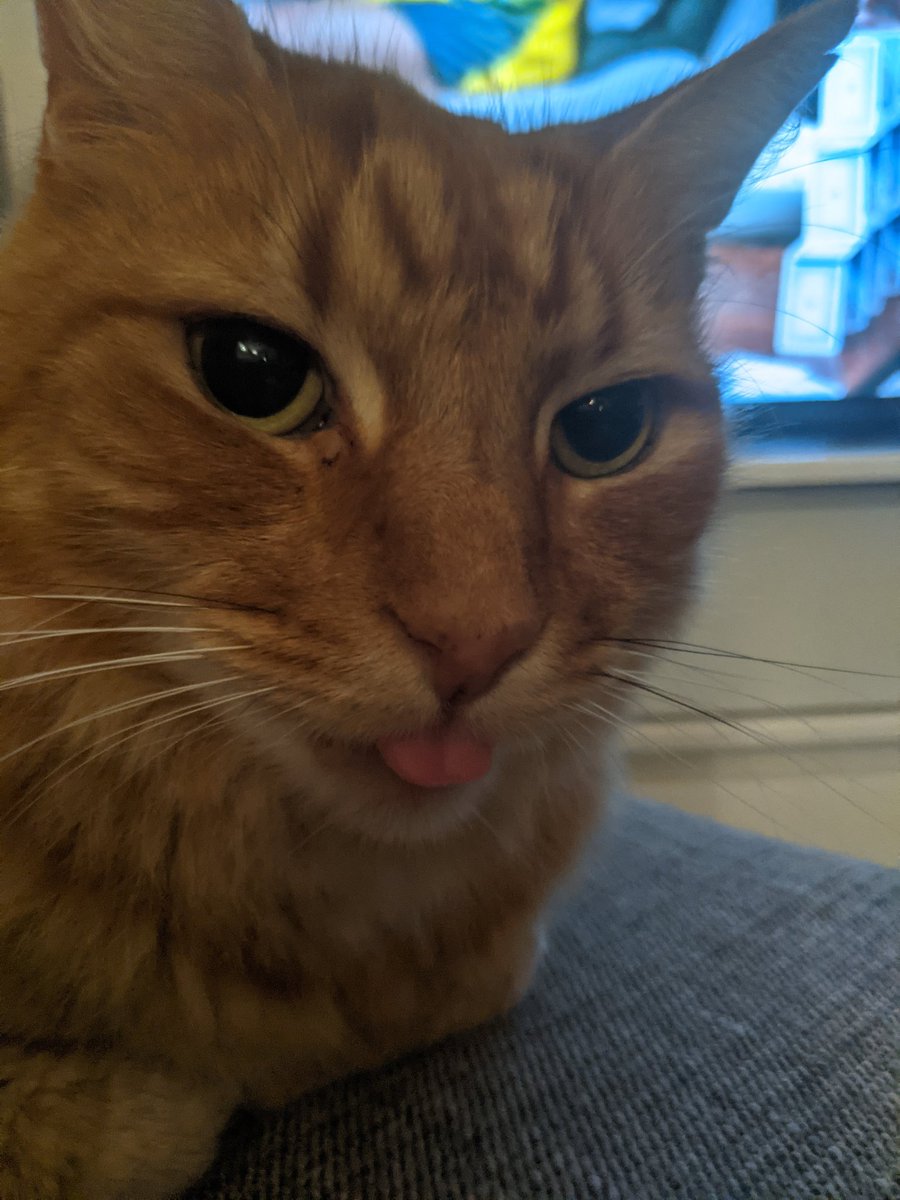 fuzzytau tweet picture