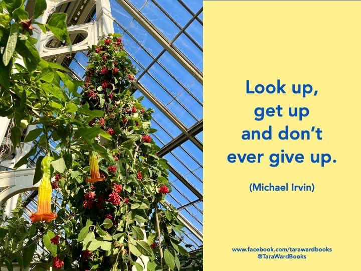 TaraWardBooks's tweet photo. For the start of a new week, I like the simplicity of this #MichaelIrvin quote ... https://t.co/3dic749ldj