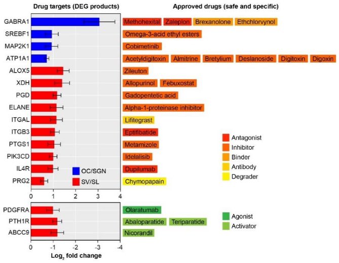 nick_schubert91's tweet photo. Finally, we investigated whether we could identify potential drug targets for currently available drugs using @DrugBankDB. We identified substructure specific drugs that could be interesting targets for age-related hearing loss. #HearingLoss https://t.co/AwaGY0OOKP