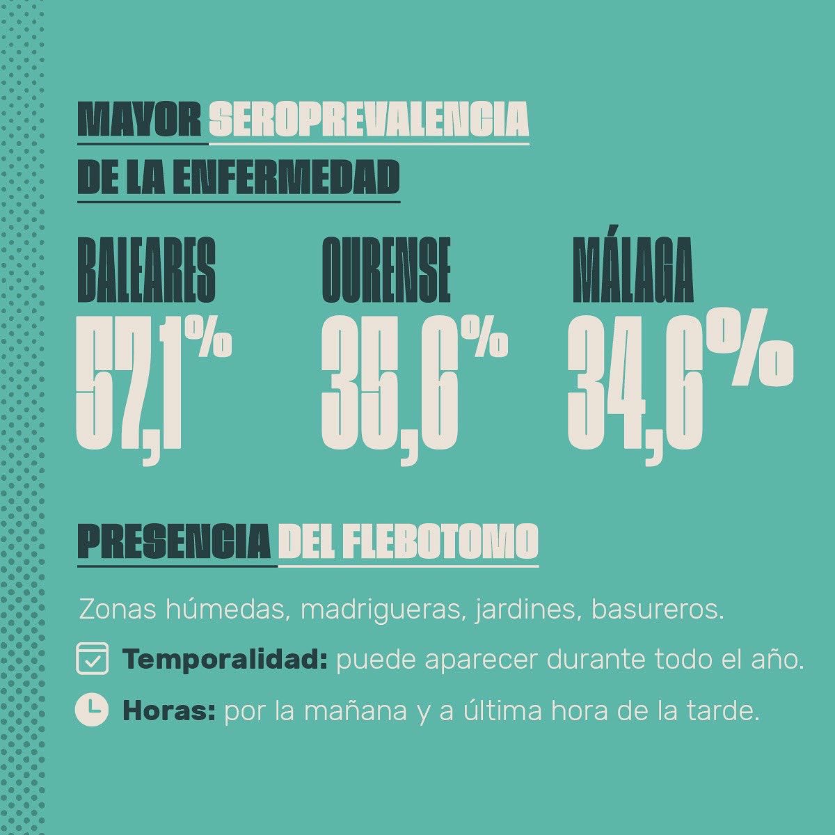 Animalhub_es tweet picture