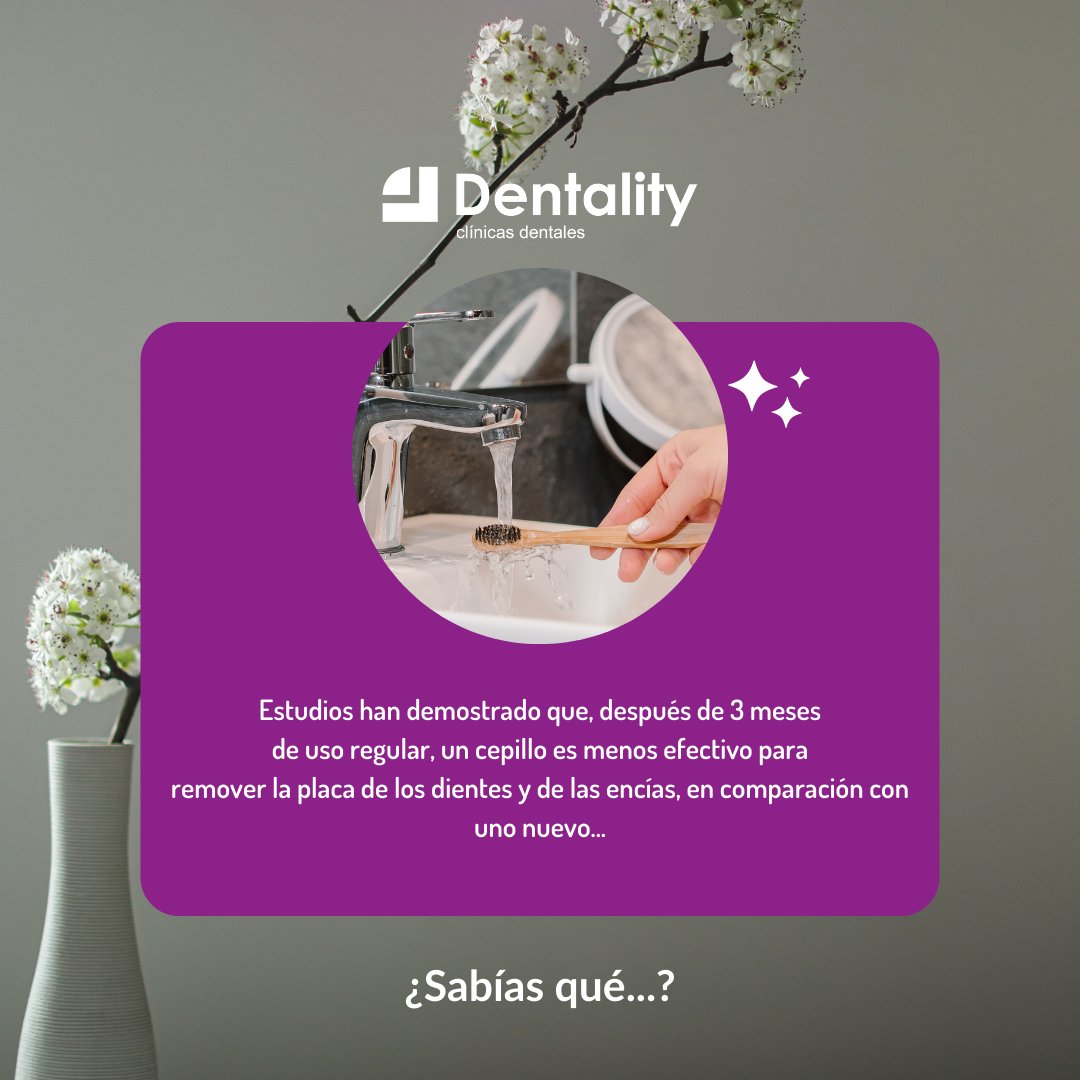 💜  Comenzamos la semana con un sabías que.... ¡De nada!

👉🏻dentality.es

📞 Talavera 925684900
📞 Plasencia 927700938
📞 Jaraíz de la Vera 927460808