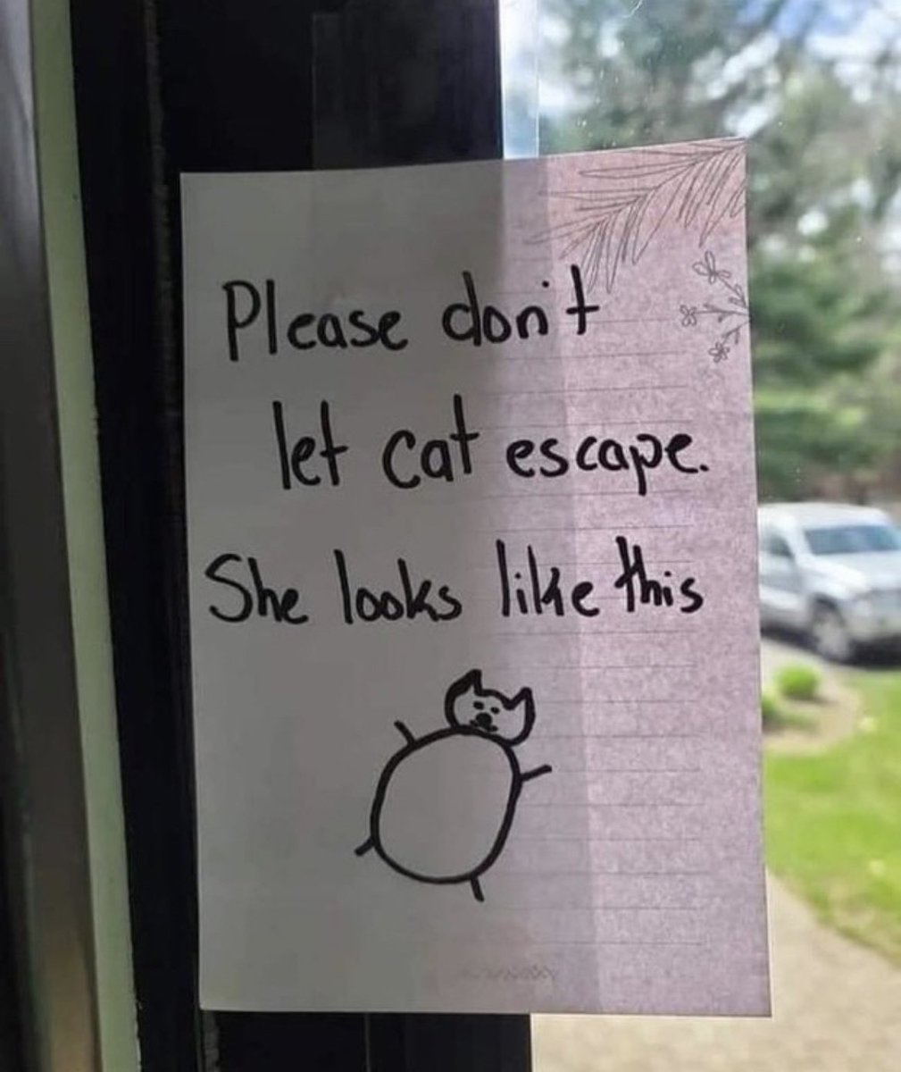 GM! Keep an eye on your animals! 👀