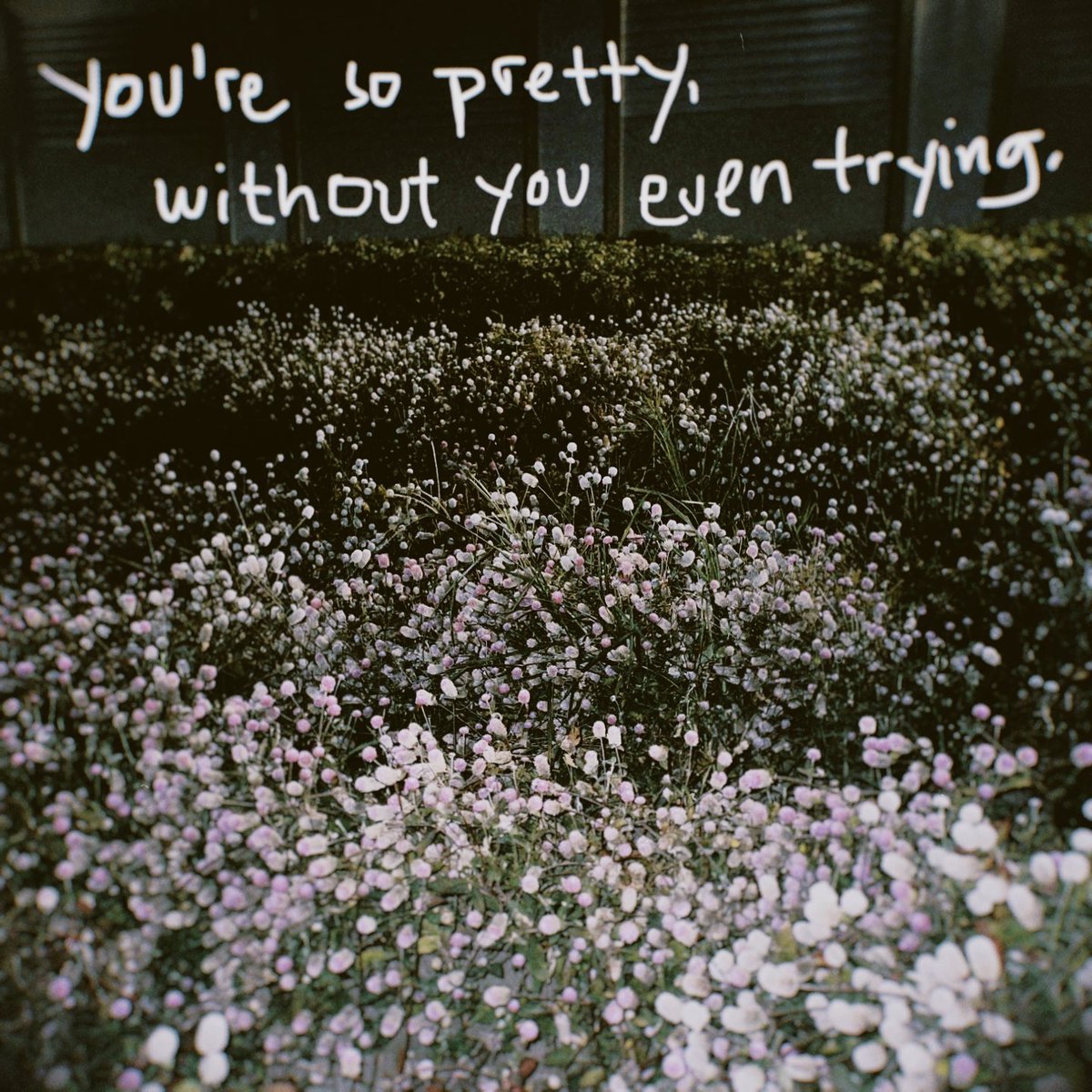 validemotionsmo's tweet image. always in all ways. 💛