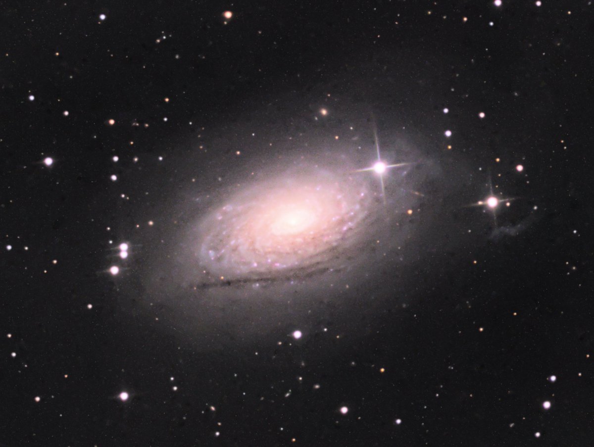 tombardier's tweet photo. #M63, the🌻#Sunflower #Galaxy🇺🇦. My second attempt to process this. I wasn't happy with how noisy and washed out my previous attempt looked after it being transferred from (PixInsight+nice calibrated monitor) to (FB/Twitter+crap monitor)! #Skywatcher #200P #EQ6-R Pro #ASI1600MM https://t.co/jB42PsF6qM