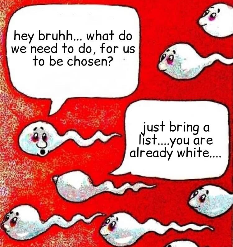 NftKittyCrypto2's tweet photo. For fun some memes @FadedFoxess https://t.co/HqfJi5zbY2