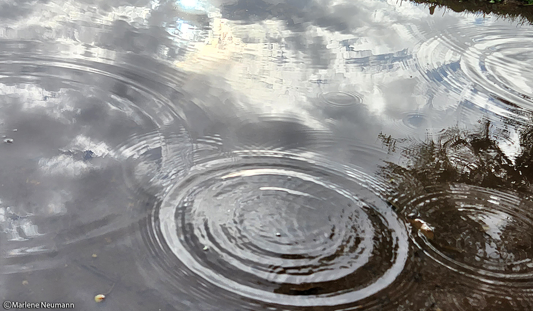 marleneneumann's tweet photo. We are droplets 💧 from the divine consciousness. It is our innate beauty to shine as bright as we can. Join a community of like-minded people https://t.co/sDquRyBqIi
#thevoiceofnature #thepowerofnow #love #livingyourtruth #mindfulness #zenphotography #contemplativephotography https://t.co/MaeJdOw3wG