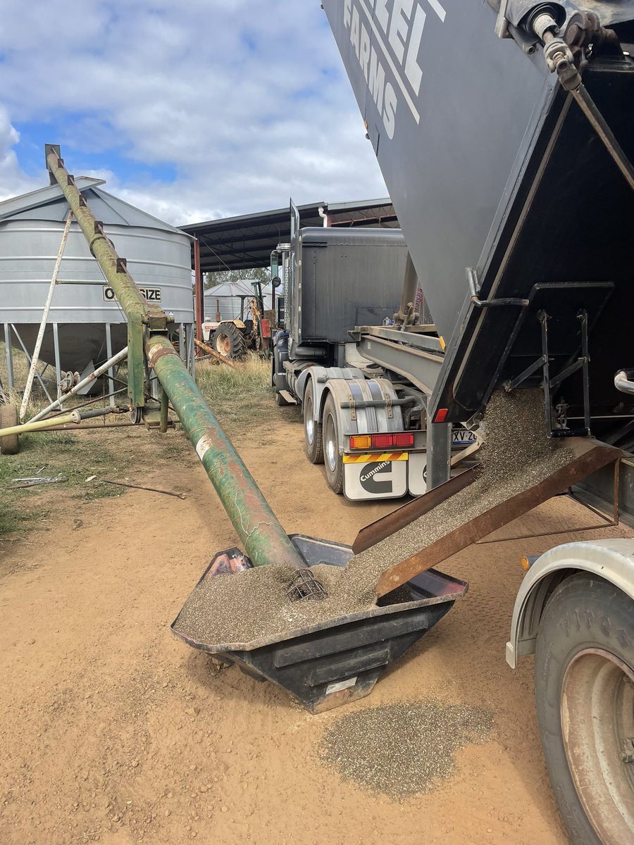 Anthony Close tweet media