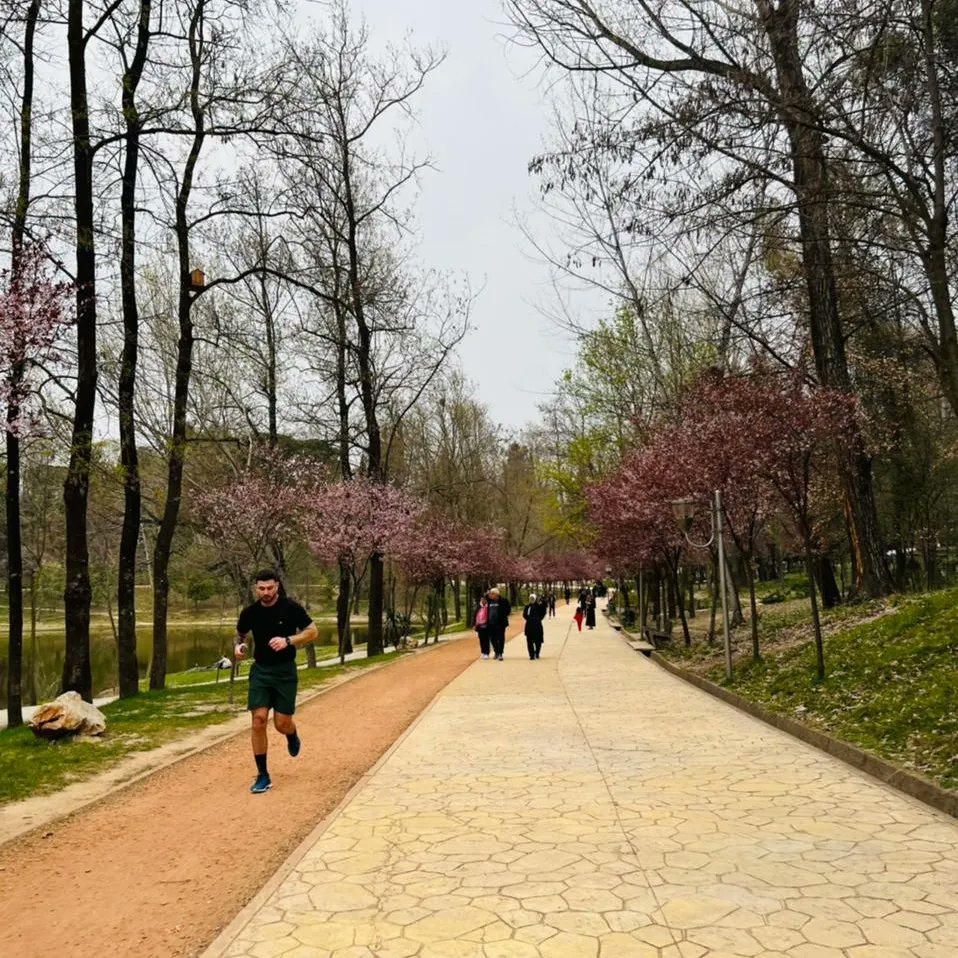 aprtirana's tweet photo. Mirëmëngjes dhe javë të mbarë e me energji të reja!🏃♂️🏃♀️🏃
#TiranaEYC2022
#Pmlat
#ActiveLive https://t.co/3s18gxFwUn