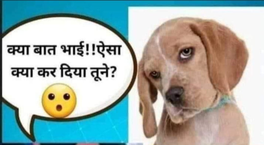 GorkshanathGod1's tweet photo. @AmitKum08734289 @sujeetsachan27 अमित कुमार चाटु बडी आंखे दिखा रहा है। https://t.co/IMafWtsC8N