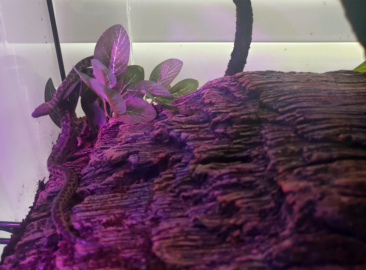 Bill🤘 tweet media