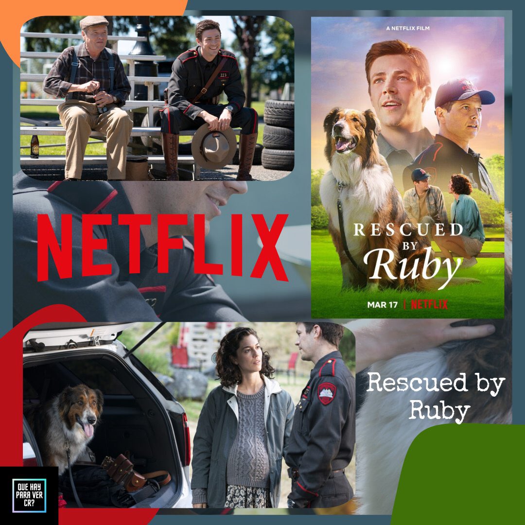 QueHayParaVerCR's tweet photo. Persiguiendo su sueño de unirse a una unidad de élite K-9, un policía estatal se une a otro desvalido, el inteligente, pero travieso cachorro de refugio Ruby, podemos ver #RescuedByRuby en @NetflixLAT 
@QueHayParaVerCR https://t.co/9YPP4vjpC9