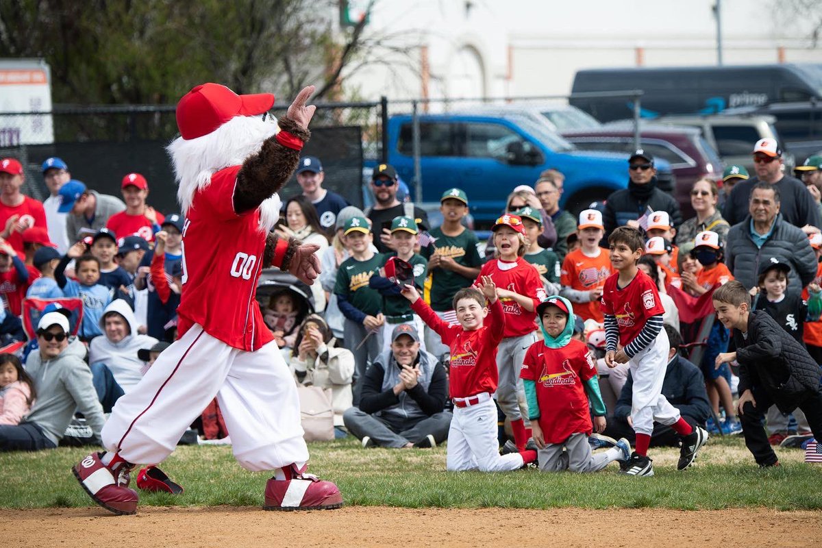 Arlington LL tweet media