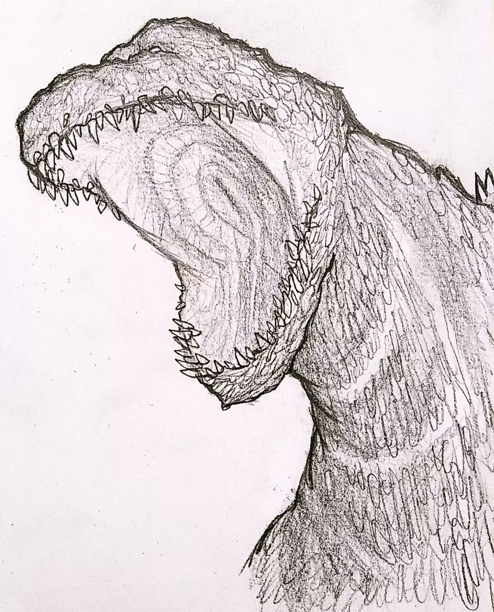 Boi1Goji's tweet photo. Some sketches done during the school year. #Godzilla #shingodzilla #ゴジラ #Kaiju #monster #drawing #sketch #artwork https://t.co/U8UIpVvfLR