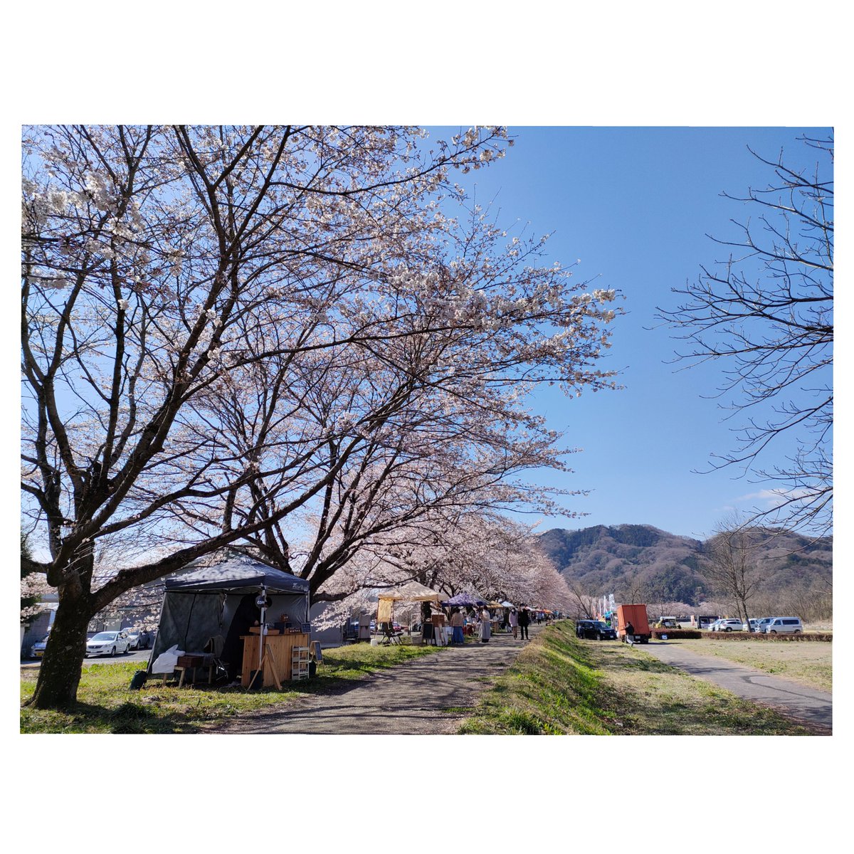 f_boundary's tweet photo. 櫻人
「良い香りだね。」「口当たりが良くて美味しいね。」コーヒー屋にとってこれ以上ない褒め言葉もいただきました。
この2日間寒かったので、体調を崩さぬようお気を付けください。
#Fboundary #鹿沼 #櫻人 #sesamestone さん
#ふくだファーム さん
#copperi さん #一心房珈琲 さん https://t.co/CZ6Cdk5i9v