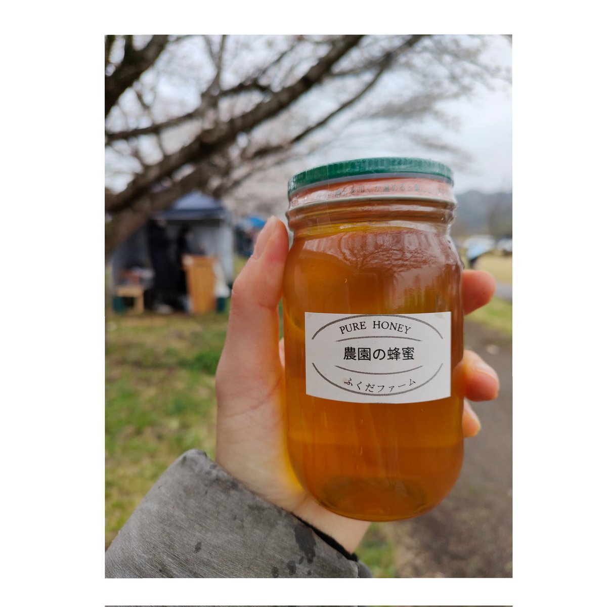 f_boundary's tweet photo. 櫻人
「良い香りだね。」「口当たりが良くて美味しいね。」コーヒー屋にとってこれ以上ない褒め言葉もいただきました。
この2日間寒かったので、体調を崩さぬようお気を付けください。
#Fboundary #鹿沼 #櫻人 #sesamestone さん
#ふくだファーム さん
#copperi さん #一心房珈琲 さん https://t.co/CZ6Cdk5i9v