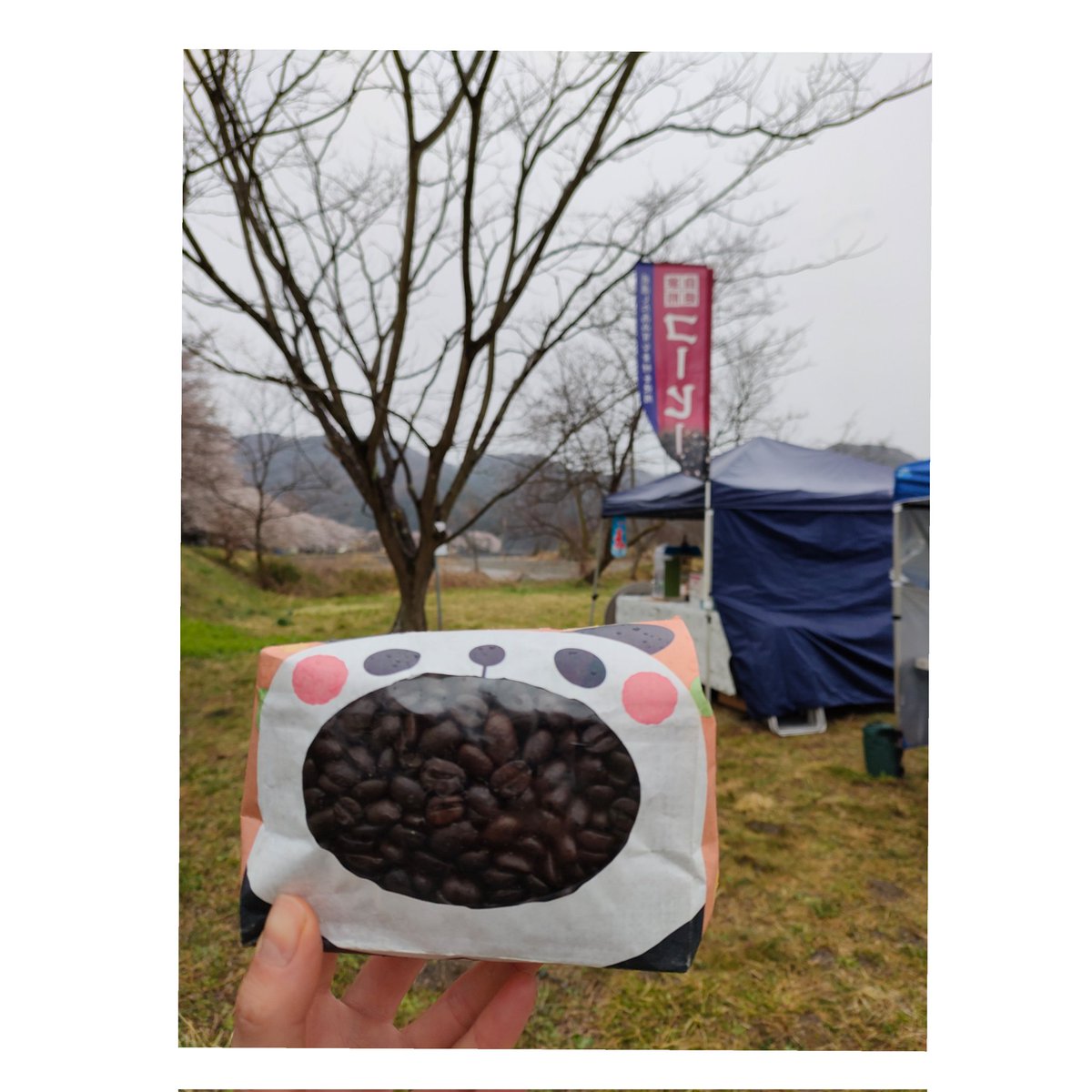 f_boundary's tweet photo. 櫻人
「良い香りだね。」「口当たりが良くて美味しいね。」コーヒー屋にとってこれ以上ない褒め言葉もいただきました。
この2日間寒かったので、体調を崩さぬようお気を付けください。
#Fboundary #鹿沼 #櫻人 #sesamestone さん
#ふくだファーム さん
#copperi さん #一心房珈琲 さん https://t.co/CZ6Cdk5i9v