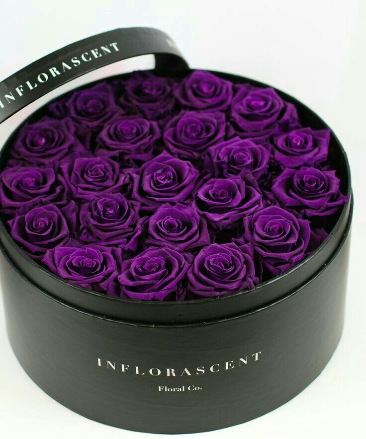 <a href="/oceans_PJ/">Paris Jacksօղ</a> ¡HBD! 💜