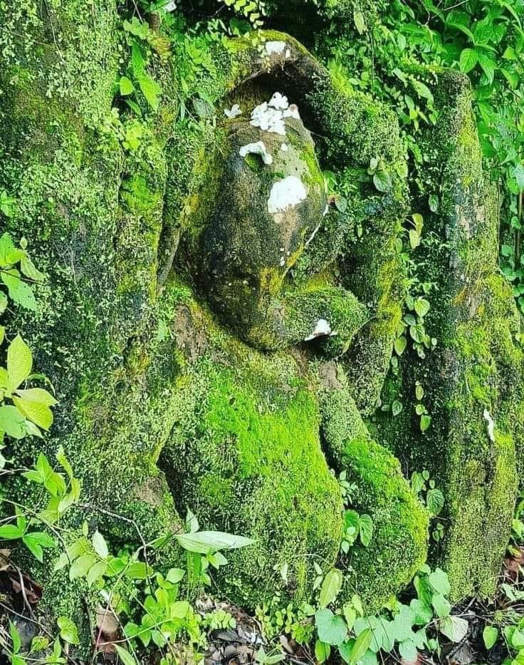 IndiaTales7's tweet photo. A mystical Murti of Bhagwan Ganesh carved on a wall of ancient Bandhavgarh fort. https://t.co/mKQvyznYe6