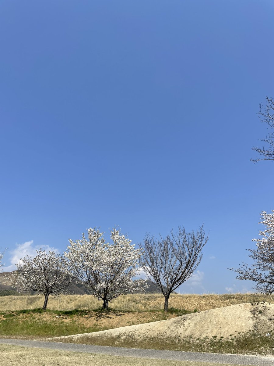 風がきこえる。
