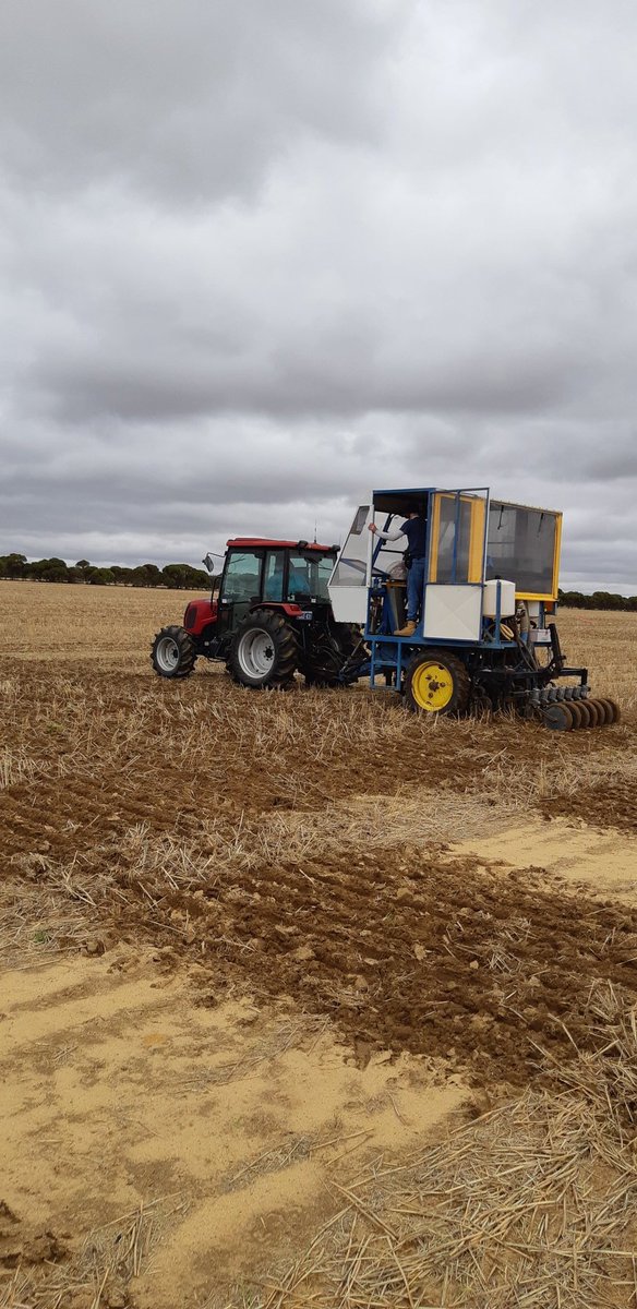 JBucat (@jackiebucat) on Twitter photo N and density for early sown canola. DPIRD trial at Xantippe near Dally. Nice early start after more than 100mm rain. Thanks to host Todd Parker and Liebe
<a href="/DPIRDbroadacre/">DPIRD Broadacre - WA Grains & Livestock</a> N and density for early sown canola. DPIRD trial at Xantippe near Dally. Nice early start after more than 100mm rain. Thanks to host Todd Parker and Liebe
<a href="/DPIRDbroadacre/">DPIRD Broadacre - WA Grains & Livestock</a>
