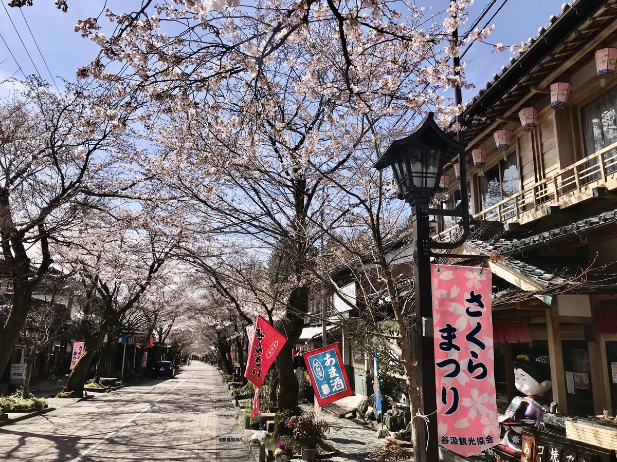 Love_dancha's tweet photo. 3年ぶりの谷汲山に行ってキタ🌸
��厳寺の門に鬼さんがw https://t.co/NgfWuhB8wX