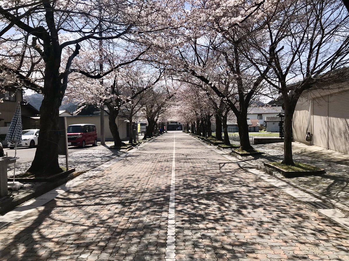 Love_dancha's tweet photo. 3年ぶりの谷汲山に行ってキタ🌸
��厳寺の門に鬼さんがw https://t.co/NgfWuhB8wX