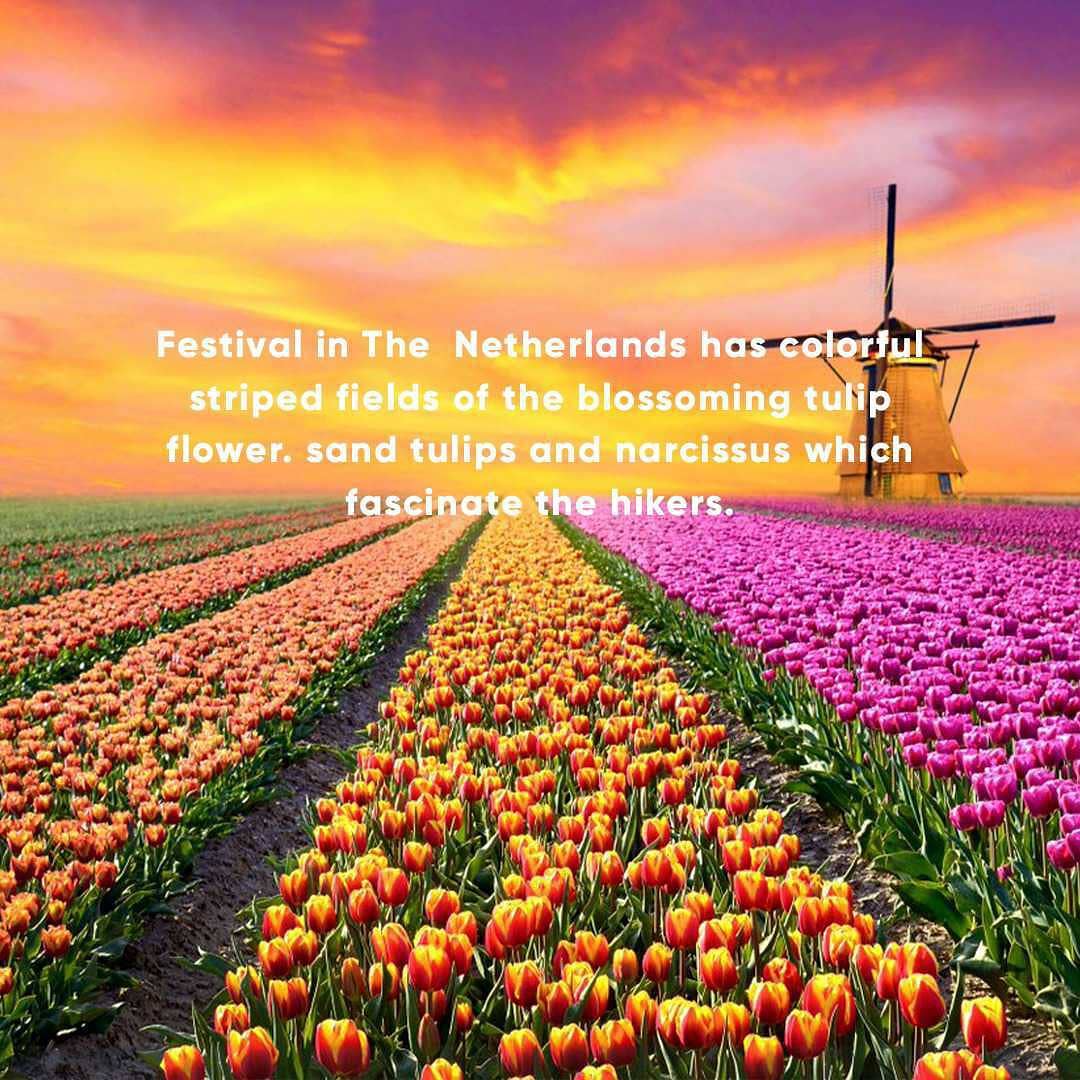 fly0kart's tweet photo. The one thing which is definitely good about this world... There are always sure to be more springs.
Do follow guys @fly0kart 
. 
. 
. 
#fly0kart #reinventtravel #vacation
#flow #flowers #meme #memesdaily #travel #nature #photography #like4like #followback https://t.co/mvE8yqK1jD