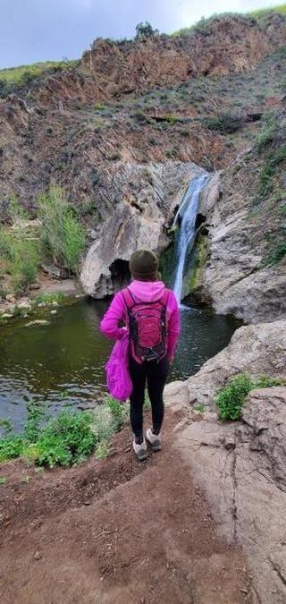 Lorena6712's tweet photo. Hike hits different when you share the same passion for nature and do not question why you just snapped a picture of that weird plant  ⛰️ 🥾 🥰 
#Girls_Stomping_Grounds_Vta #girlsthathike #outdoorfun #MentalHealthMatters #Mentalhealth #selfcare #hiker #asdslife #naturelover https://t.co/458ohBOp54