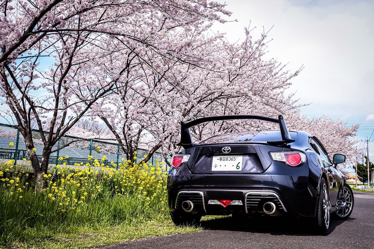 ℳ Zn6 Twitter