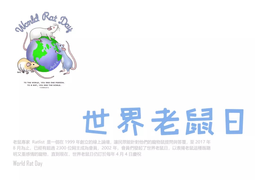 liudimouse's tweet photo. 人类好，今天是世界老鼠日…… https://t.co/7HNjMq4IFs
