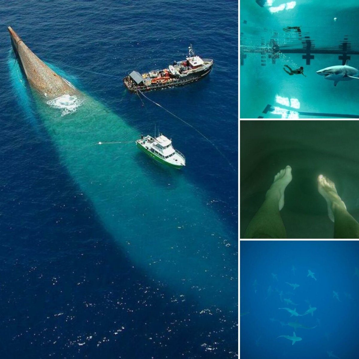 TheRocketScien2's tweet photo. Many people are afraid of the ocean or thalassophobia. Here are some weird pictures that prove this fear is real.