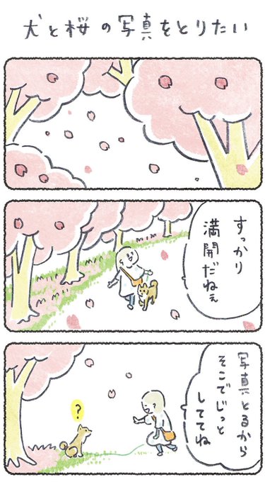 犬と桜の写真を撮りたい(奮闘)

リプにつづき貼ります
#豆しばこつぶ 