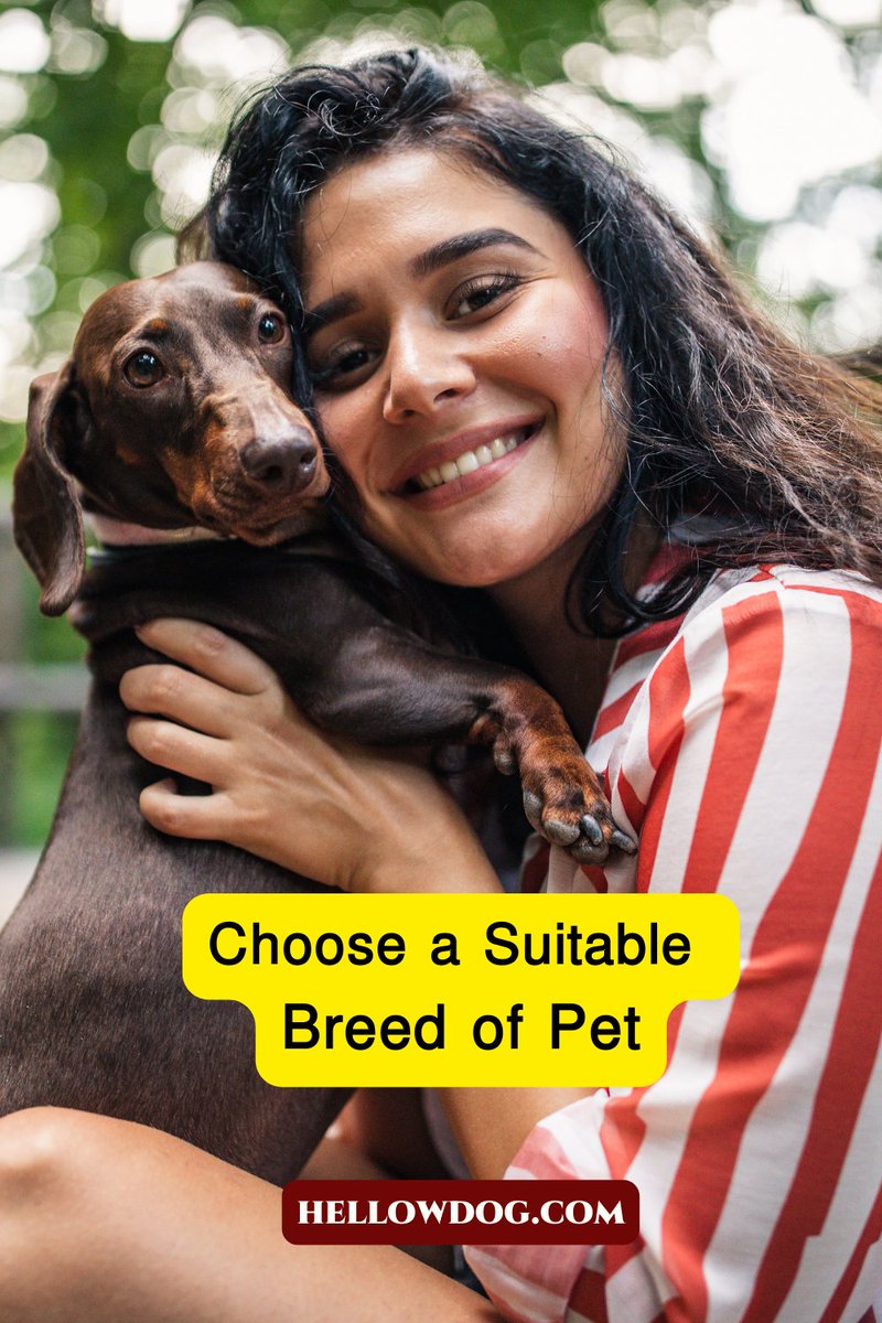 HellowdogI's tweet photo. Choose a Suitable Breed of Pet!! 
#dog #dogsofinstagram #dogs #dogstagram #hellowdog #doglover #dogoftheday #doglife #doglovers #doggy #dogsofinsta #dogsofig #doggo #doglove #dogsitting #pet #hellowdog https://t.co/NpV231YsLs