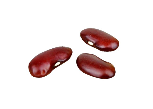 PurrrClub's tweet photo. My mom still cant believe this red bean cost 90k 

#azuki #NFT #NFTCommunity #NFTcollections https://t.co/HYrFTkN0rQ