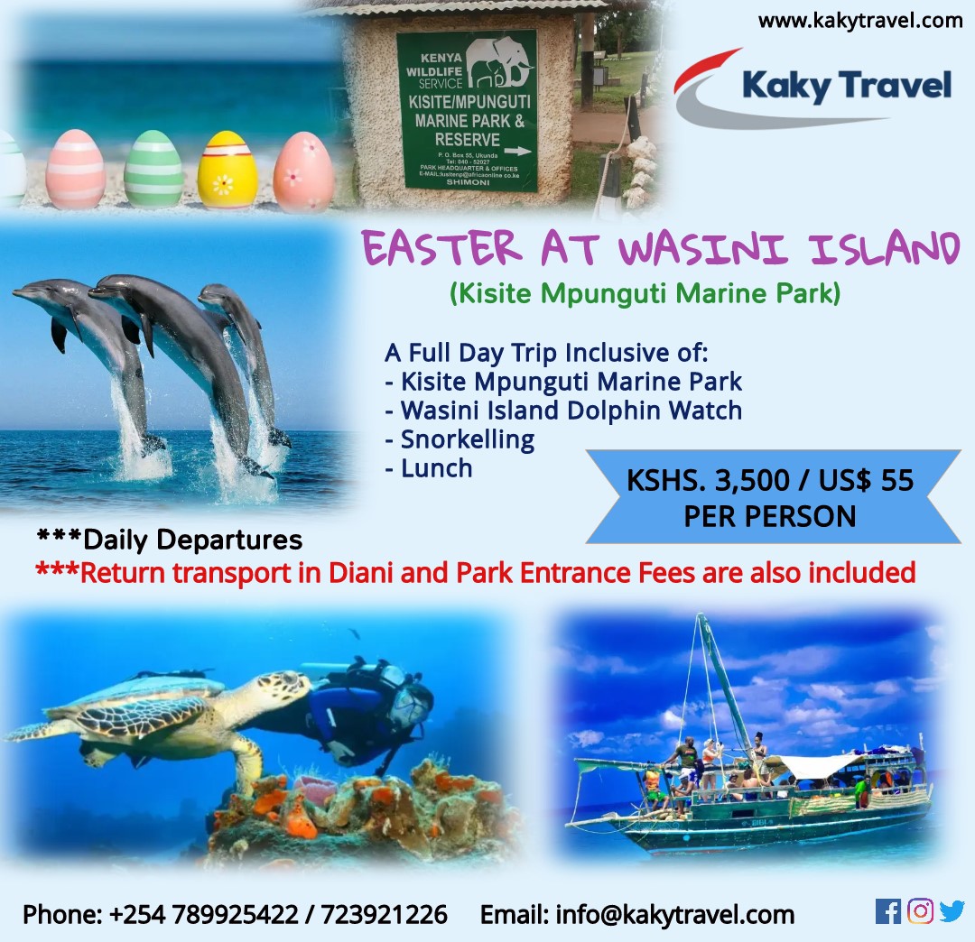 KakyTravel's tweet photo. Will you be in Diani / Ukunda (South Coast) during Easter?... Enjoy a dolphin &amp; snorkeling experience with Kaky Travel.

Phone: +254789925422
WhatsApp: +254723921226
Email: info@kakytravel.com

#kakytravel #wasiniisland
#affordabletravel 
#unforgetableexperiences 
#magicalkenya https://t.co/O7B8iWTuOH