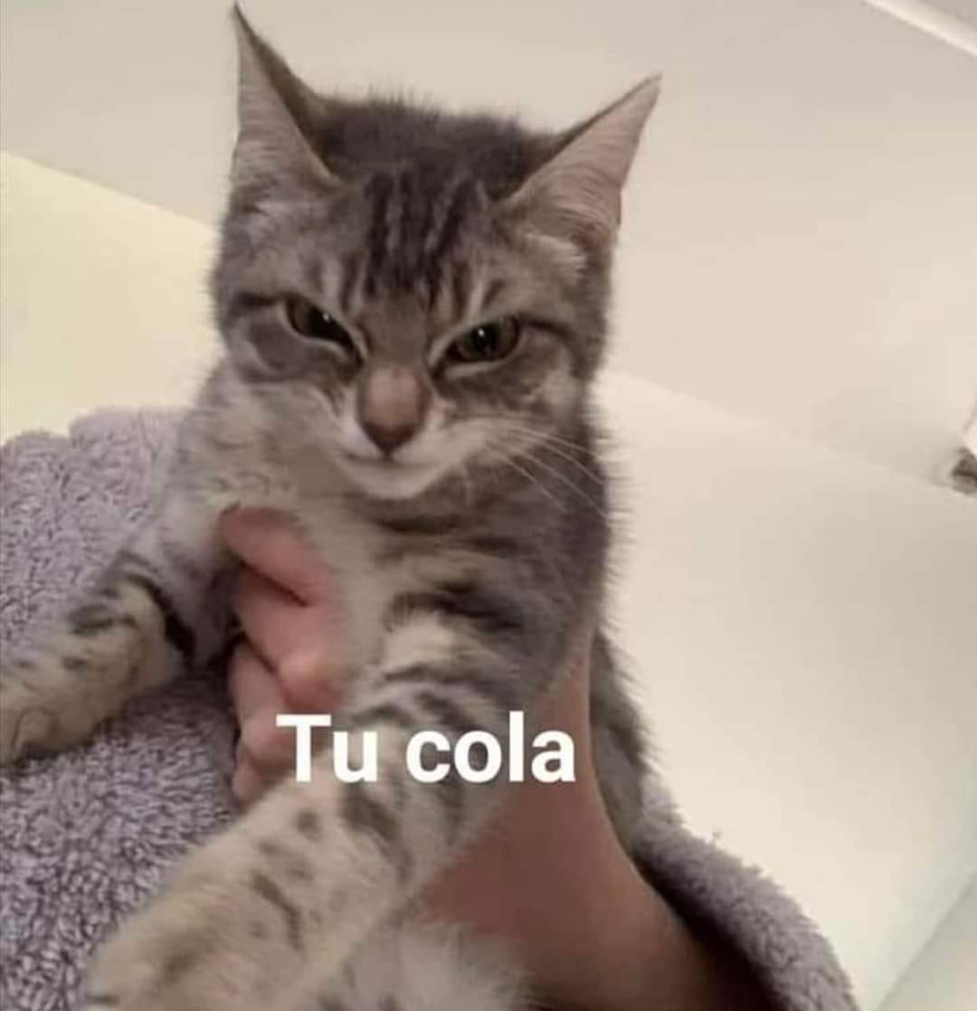 b_metzli's tweet photo. ando bien emperrada por lo de los grammys y ahora #Vlive se cae cuando los tannies están en vivo https://t.co/FUv9KiPzOJ