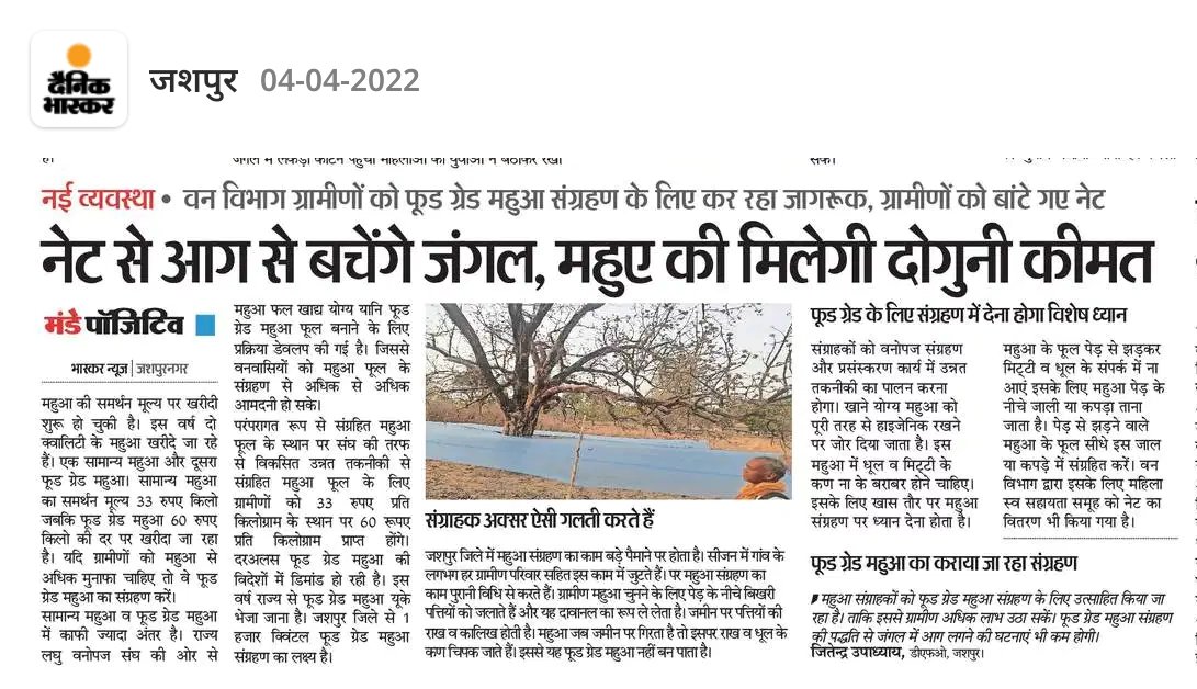 DPRChhattisgarh's tweet photo. 'फूड ग्रेड महुआ संग्रहण' के लिए ग्रामीणों को वन विभाग द्वारा किया जा रहा जागरूक, अच्छी क्वालिटी के महुआ एकत्र करने के लिए ग्रामीणों को बांटे गए नेट।
@JashpurDist #foodgrademahua #CGModel https://t.co/r8C23Tt4uj