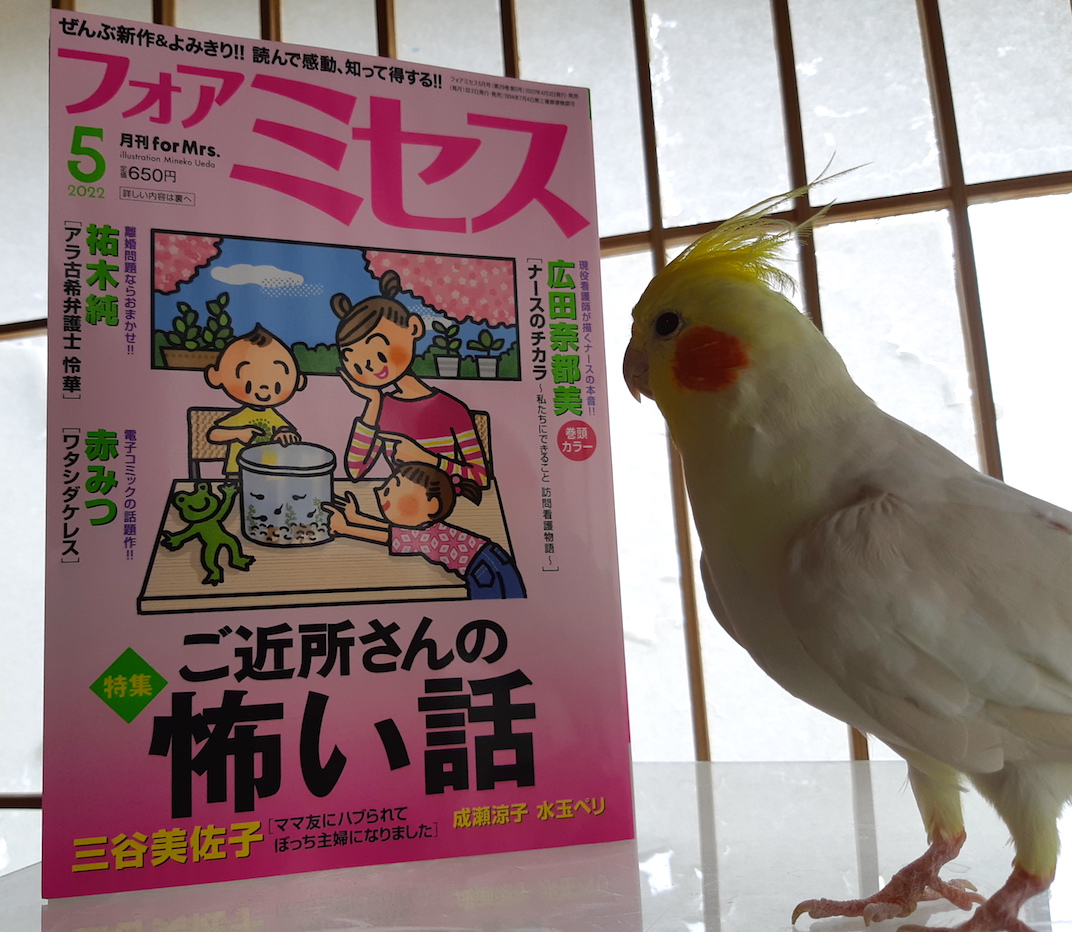 本誌届いた!特集はご近所さんの怖い話!背景は7年前の引っ越しどころかその前から一度も張り替えていない障子紙!銅が怖いご近所さん!

過去回掲載バックナンバーはキンドルアンリミテッドなどでいくつか読めます!お使いのサービスでも探してみては?前回からあらすじと登場人物紹介はじめました! 