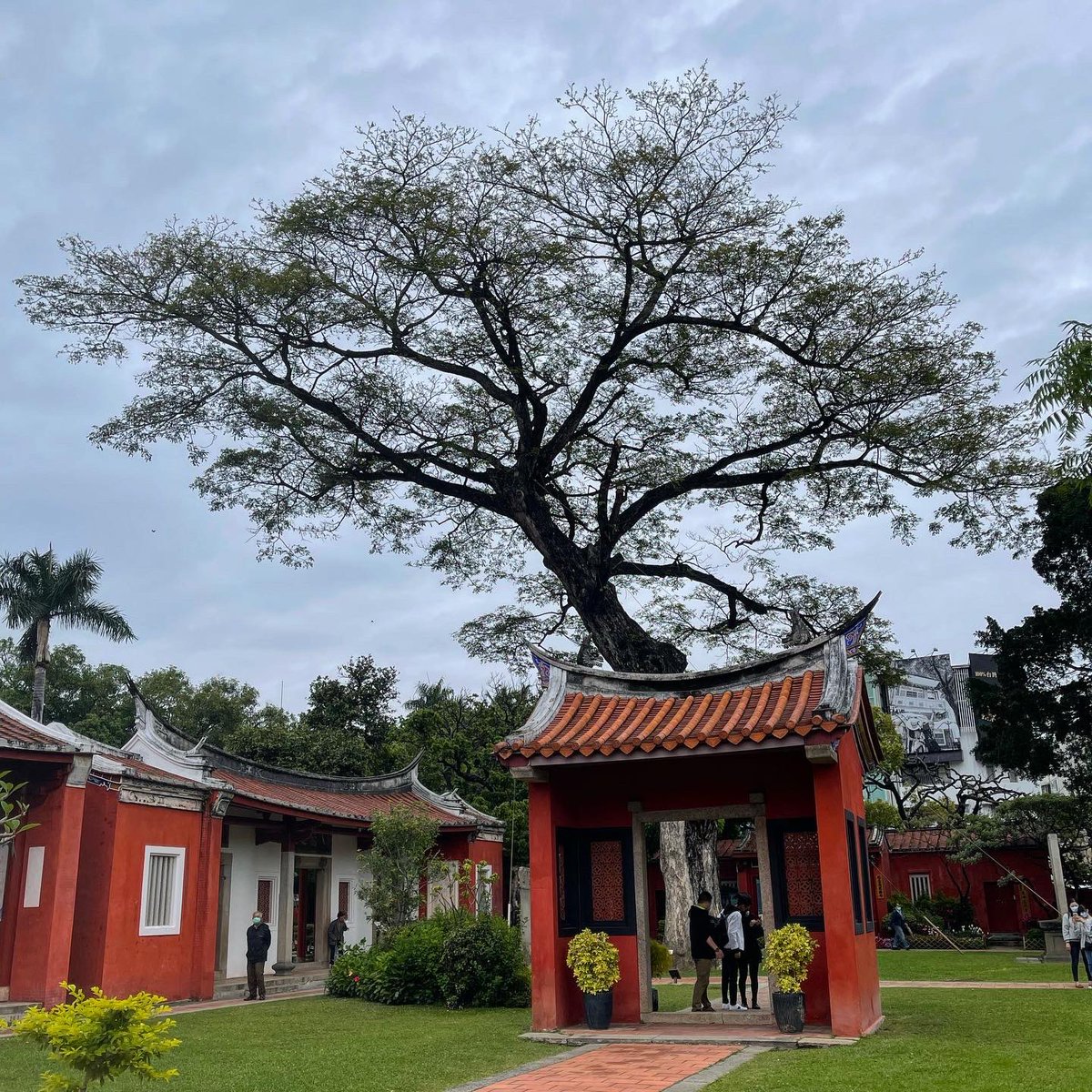 loogjun2543's tweet photo. Tainan City #Tainan #Taiwan #Market #TouristyPlace https://t.co/5bFEQ3wjUg