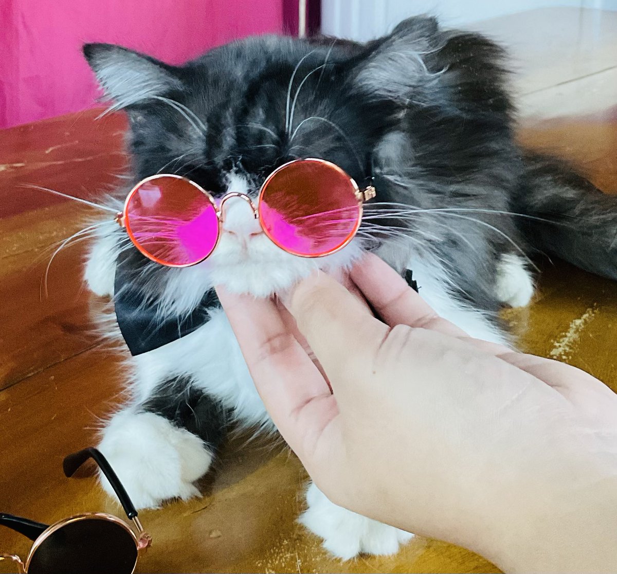 Jazzy 🌙 tweet media