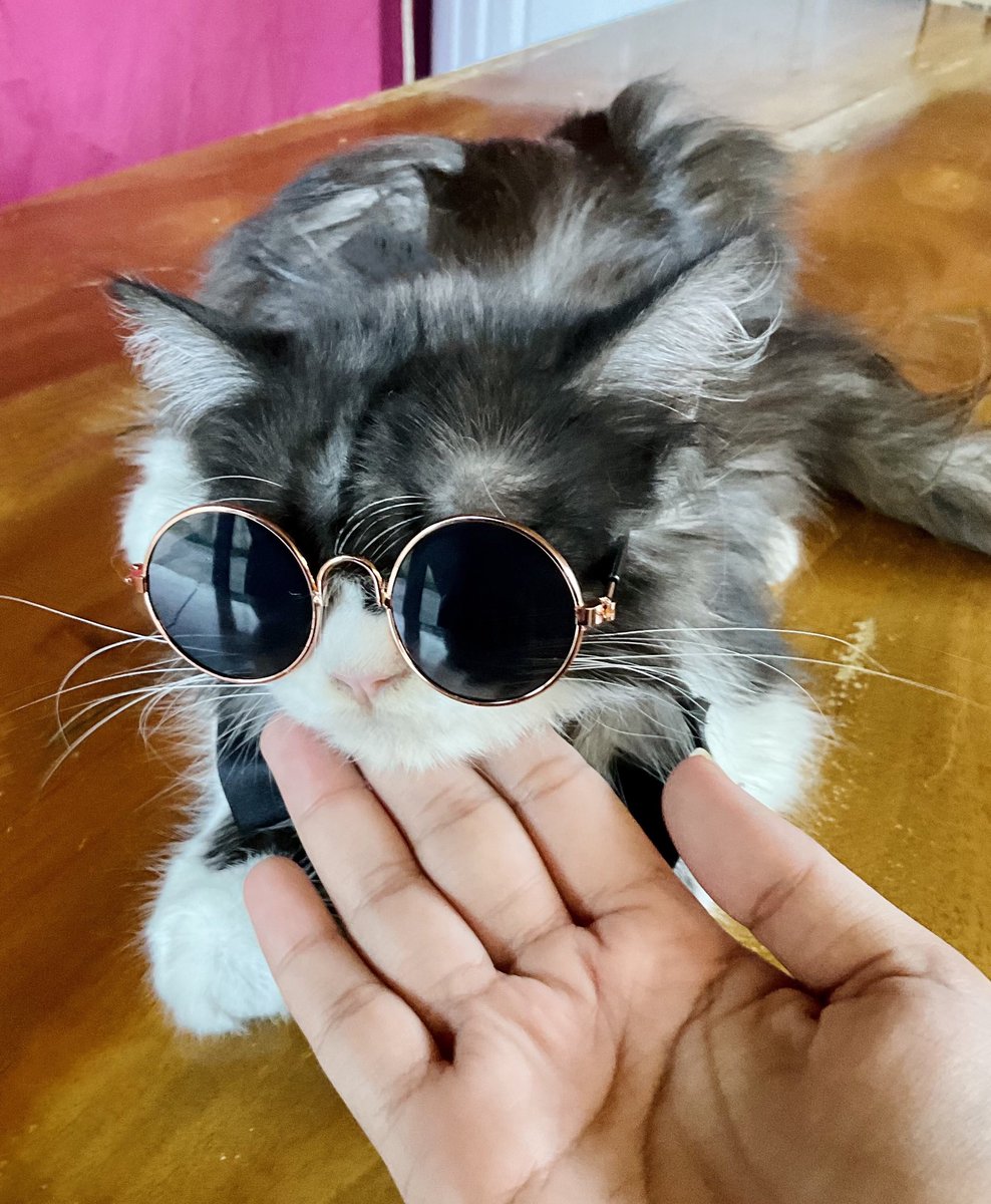 Jazzy 🌙 tweet media